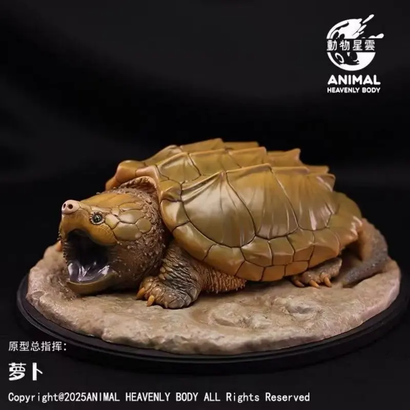 ANIMAL HEAVENLY BODY - Figura Realista de Cocodrilo y Tortuga, Modelo de Escena, Serie de Adornos, 1.ª Estatua de Animal, Regalo Festivo