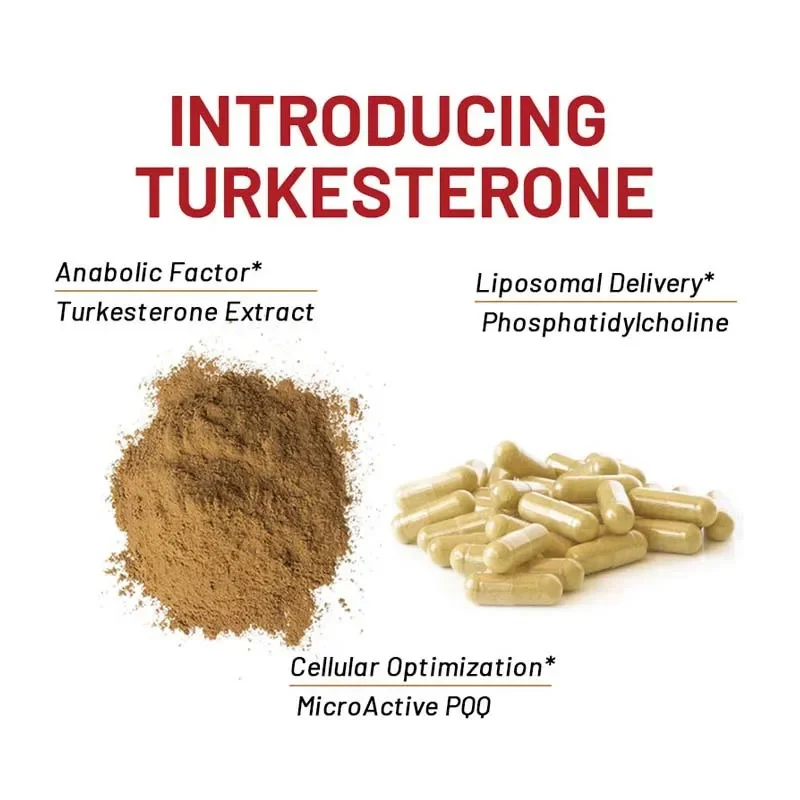 3 Bottle Turkesterone Capsules pills increasing muscle power Enhance male health mass gainer Zengji Hard Capsule