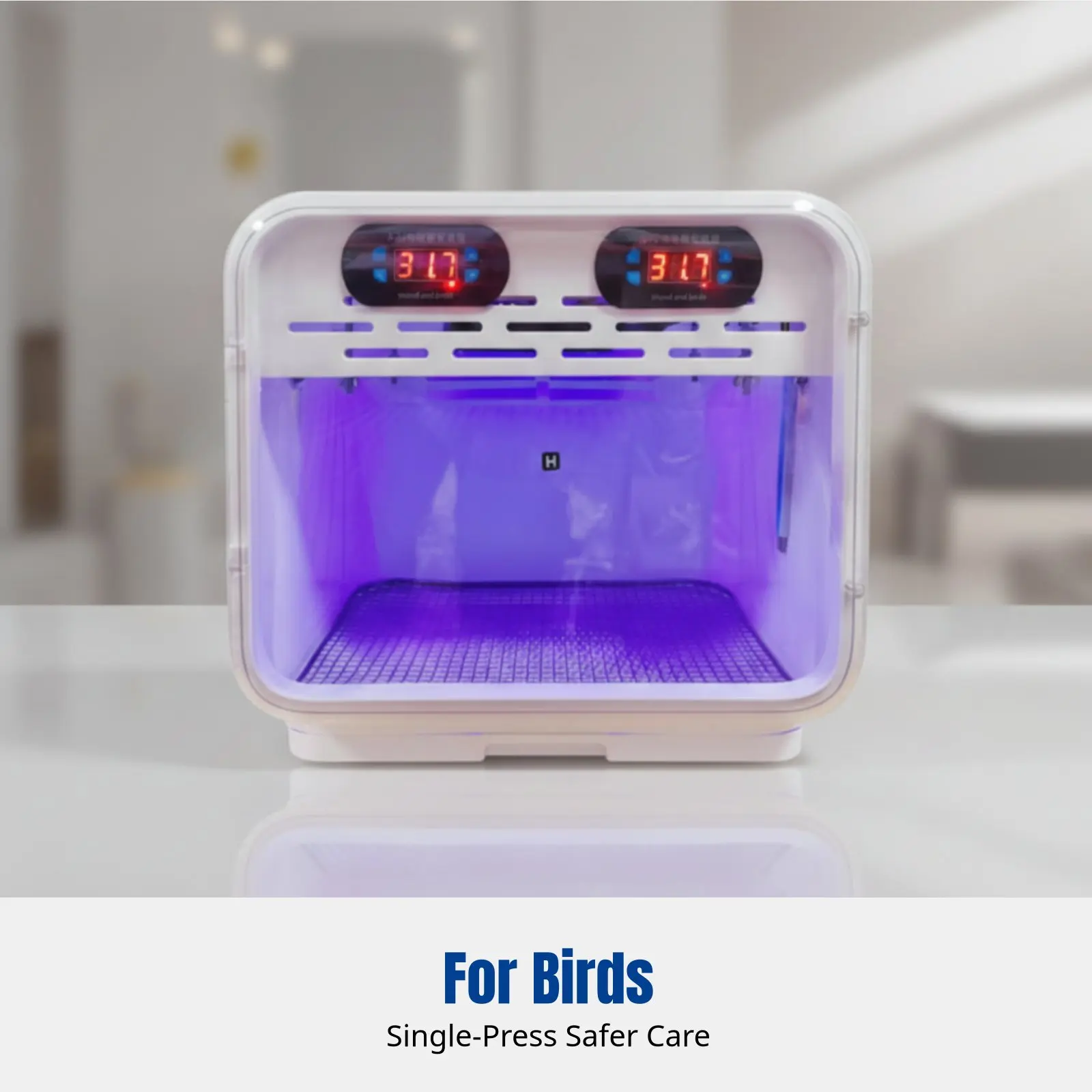 

Pet Brooder, PID Variable Warm Air, For Baby Birds, Monk Parrot, Newborn Dedicated