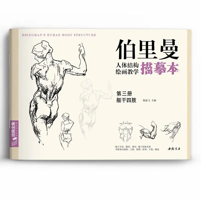 Character Sketch Drawing Structure Tutorial Learning Book Drawing Body Structure insegnamento Tracing Book