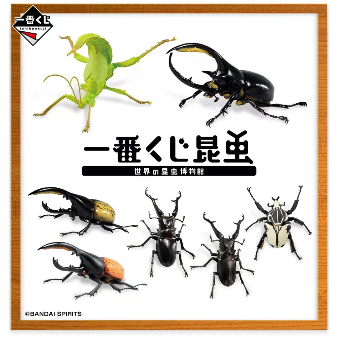 Bandai-figura DE ACCIÓN DE Lucanidae, juguete de ensamblaje de insectos biomiméticos, modelo de Gacha genuino japonés a escala, modelo cognitivo Animal