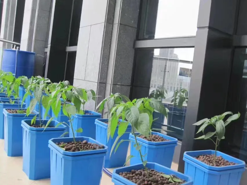 2025年農業深層水耕栽培バケツ水耕バケツ