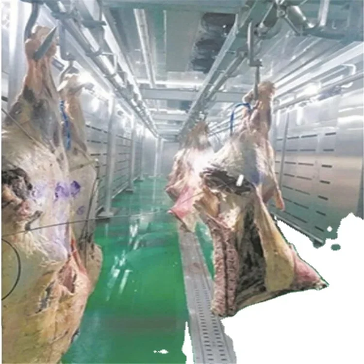 Cold and Defrosting Room for Frozen Meat Beef Product