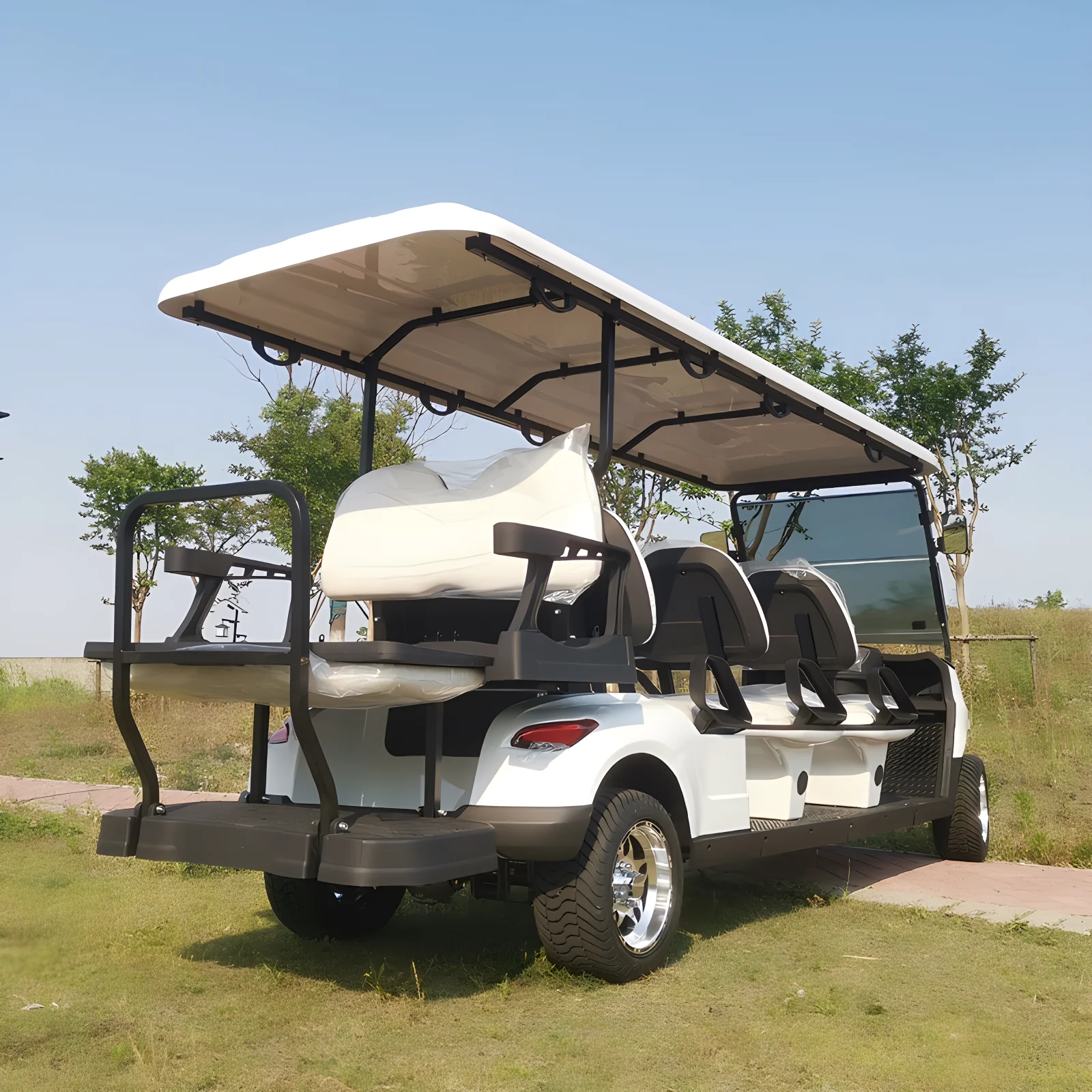 Electric Golf Cart with 2 Seats AC Motor and Lithium Ion Battery Product Type Golf Carts  CE/DOT certification golf buggy
