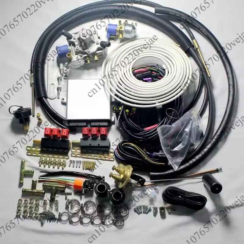 

Suitable for LPG/CNG automotive oil to gas D06 AEB 6-cylinder LPG conversion kit Gas auto parts
