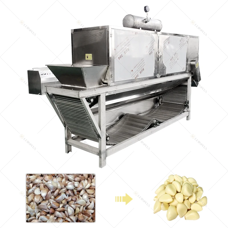 LONKIA Professional 95% Peeling Rate Commercial Used Chain Type Dry Garlic  Peeler Machine