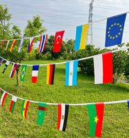 50/100/200 Countries National Flag14x21cm 20x30cm String Flag Countries Around The World Nations Flag For Party decor