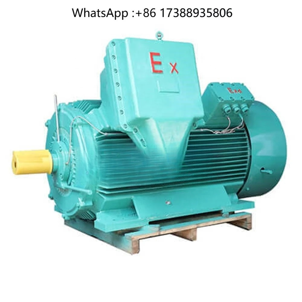 Three Phase Explosion Proof Motor 710kw  Electro Motor Explosion Proof Induction Motor