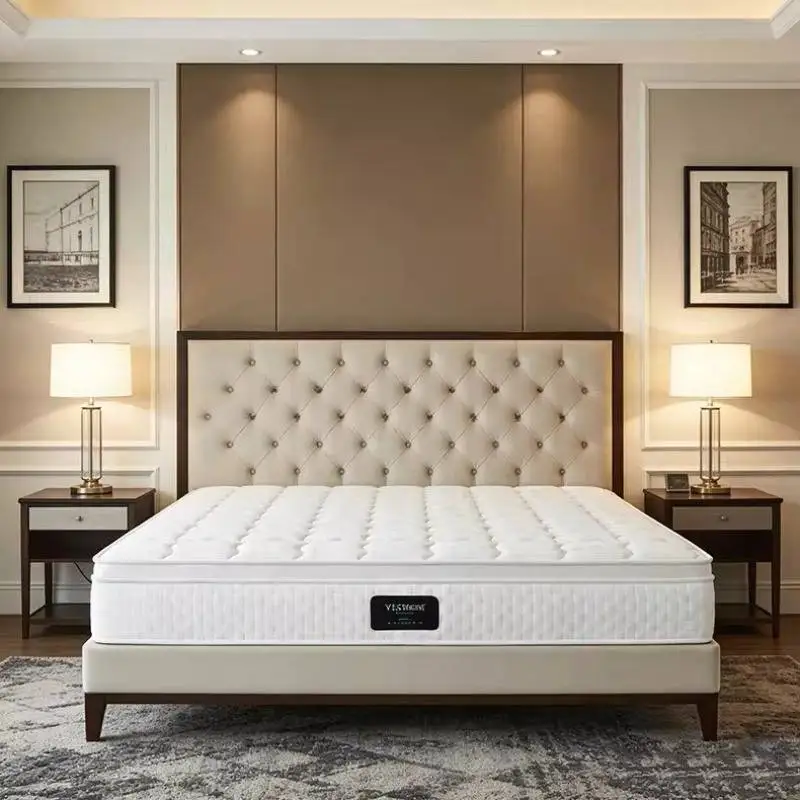 Soft Box Springs Mattresses Sleeping Memory Foam Spring Compressed Mattresses Double Lit Pliable Matelas De Lit Beds Furniture