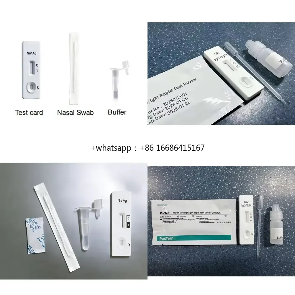 

GREAT FARM Nipah Virus Antigen Rapid Test Device Swab Specimen Infection Detection