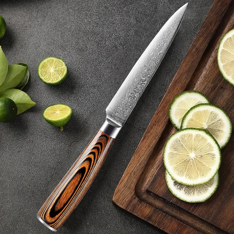 Damascus Steel Paring Knife 5 Inch,Razor Sharp Peeling Knives,Professional Fruit Knife,Small Kitchen Knife Japanese Tomato Knife