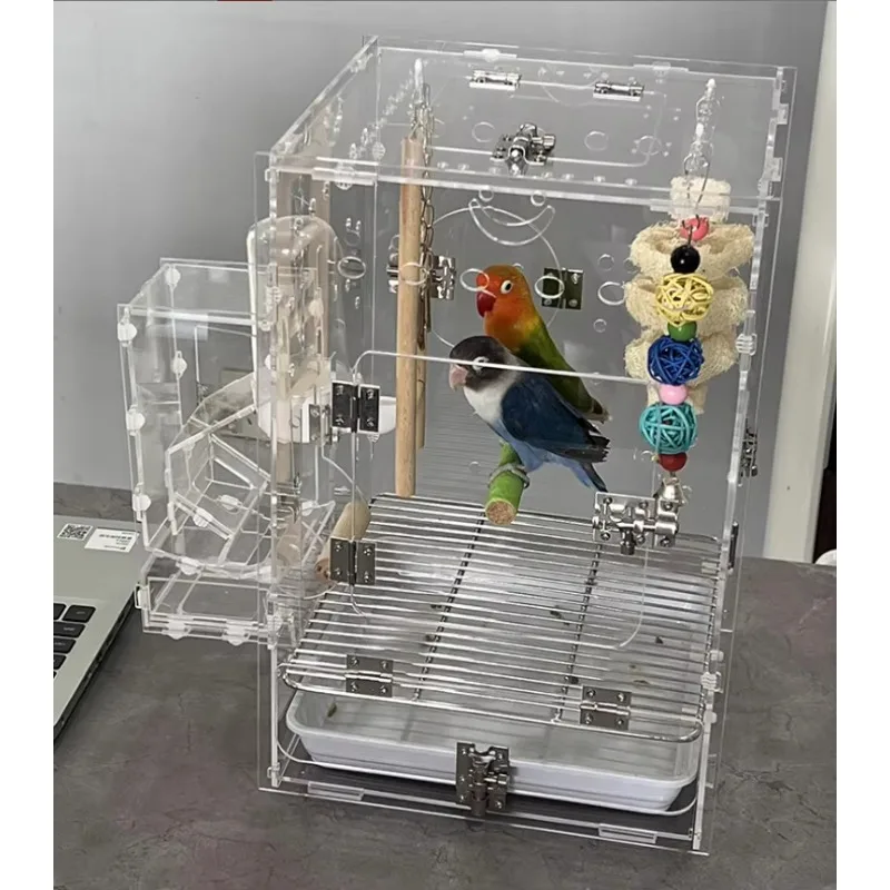 Hornets Stylish Eco-Friendly Acrylic Terrarium Enclosure Insect and Reptile Breeding Display Rack for Acrylic Boxes