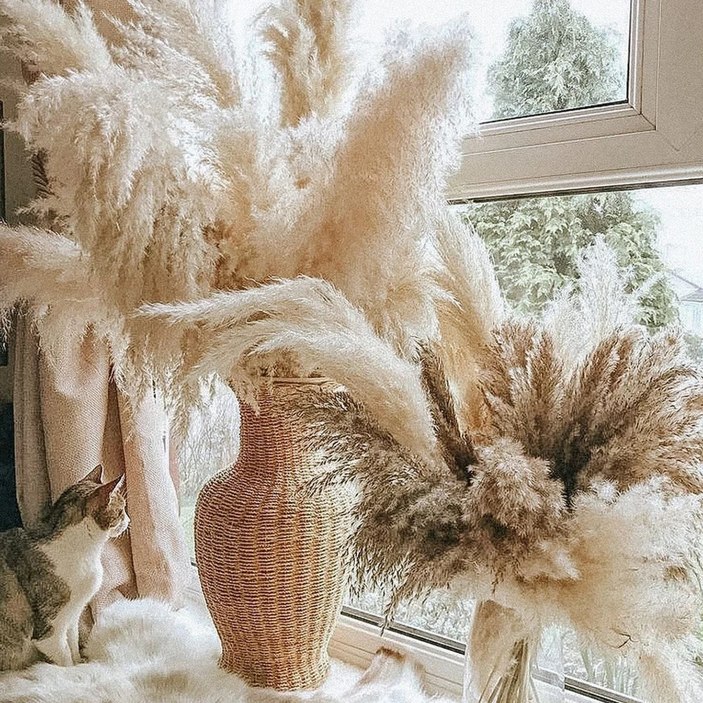 Fluffy Large Pampas Grass Flowers, Tall Natural Dried Pampas for Garden Decoration, Outdoor Dried Flowers, Wedding Arch Decor