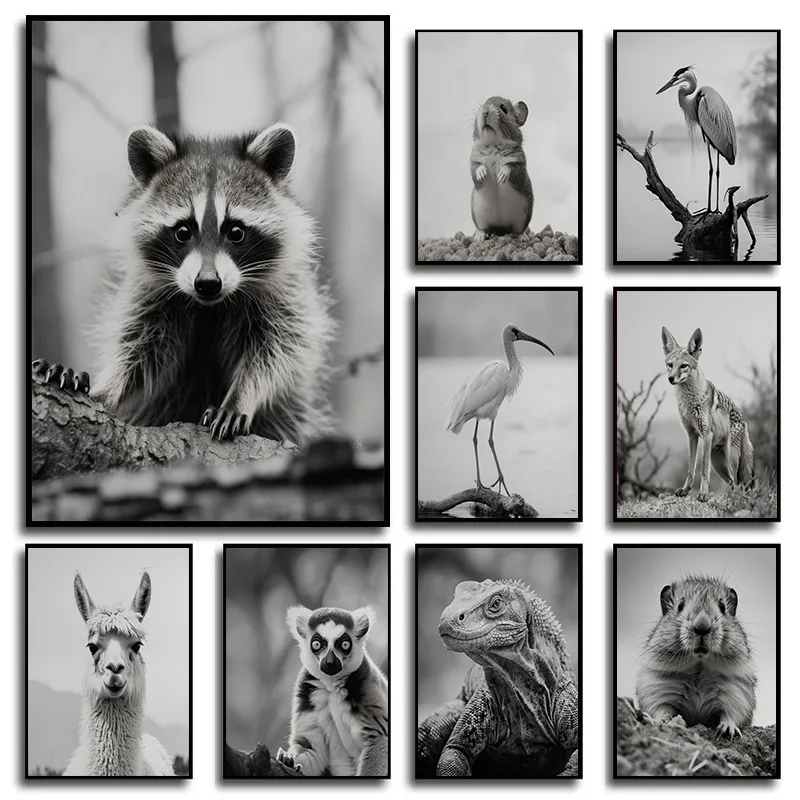 Arte de pared de animales Vintage minimalista, conjunto de carteles en blanco y negro de conejo Ibis, dobladillo, hámster, Komodo, dragón, decoración para sala de estar