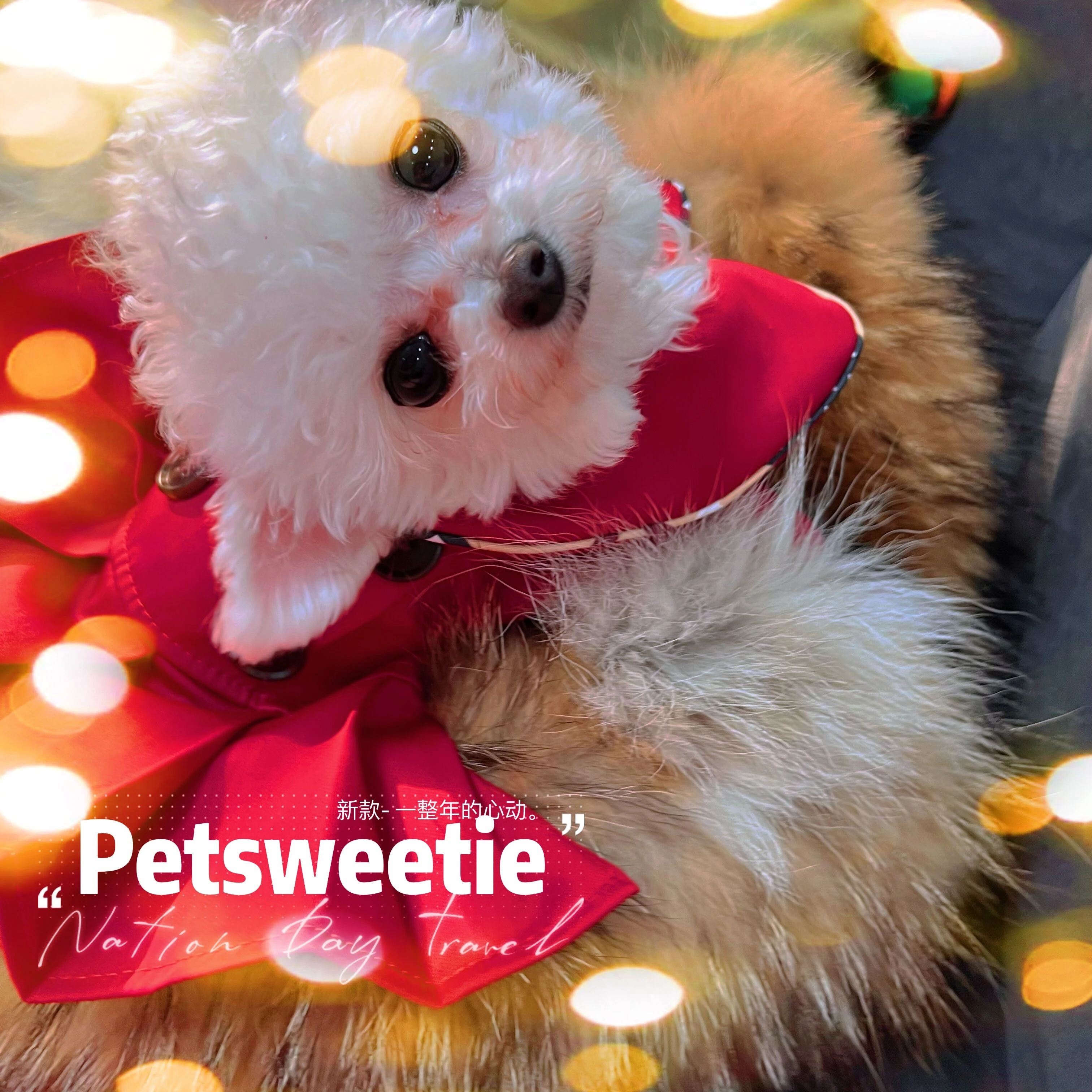 Classic dress, pet clothes, dog clothes, festive holiday dresses, cute.