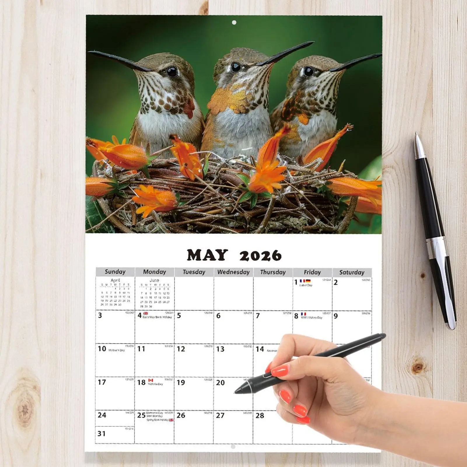 Hummingbird Calendar 2026 13-Month Hummingbird Calendar For Home Jan 2026 Jan 2027 Schedule Organizer Planner For Wall Office
