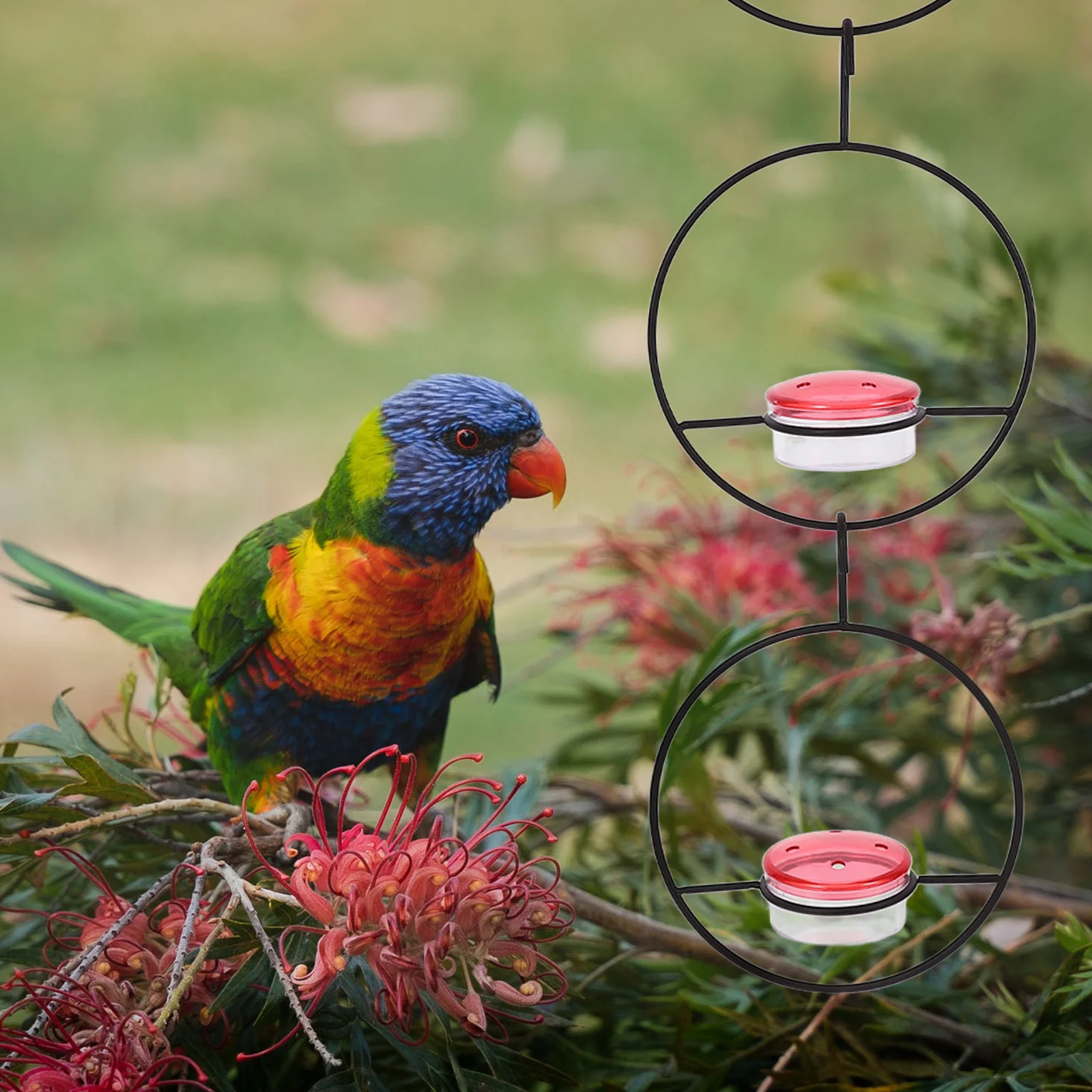 

3pcs Hummingbird Feeder Outdoor Hanging Bird Feeders For Outside Garden Water Food Container Durable Plastic Swing Fodder