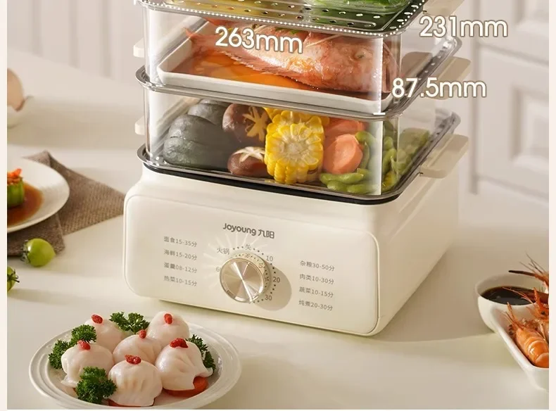 220V Multi-Functional Electric Food Steamers for Home Use with Large Capacity & Multiple Layers
