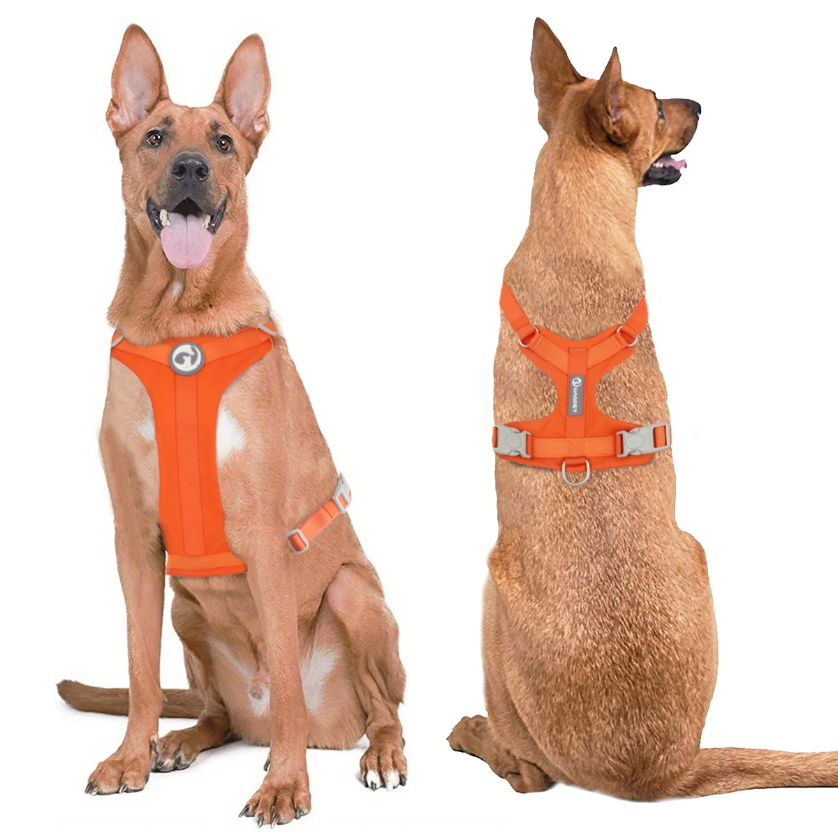 Sicherheits-Hundegeschirre, modischer Haustiersattel, kein Ziehen, verstellbare Weste, zum Gehen, Training für kleine, mittelgroße und große Hunde – Detail 1
