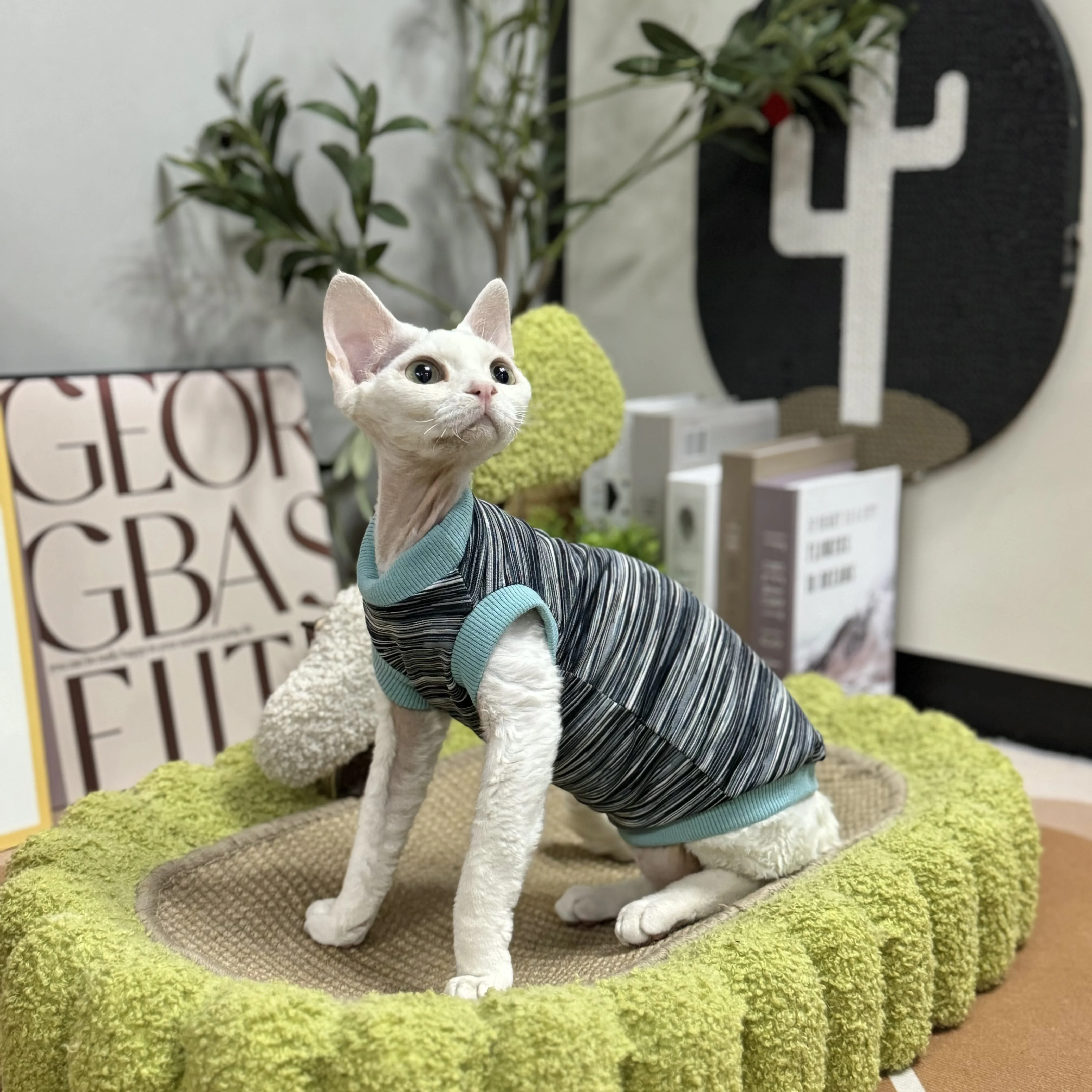 Sphynx Clothes for Cat Hairless Cat Soft Cotton Coat Spring Shirt For Kittens Devon Rex Sleeveless Grey Shirt for Summer Outwear