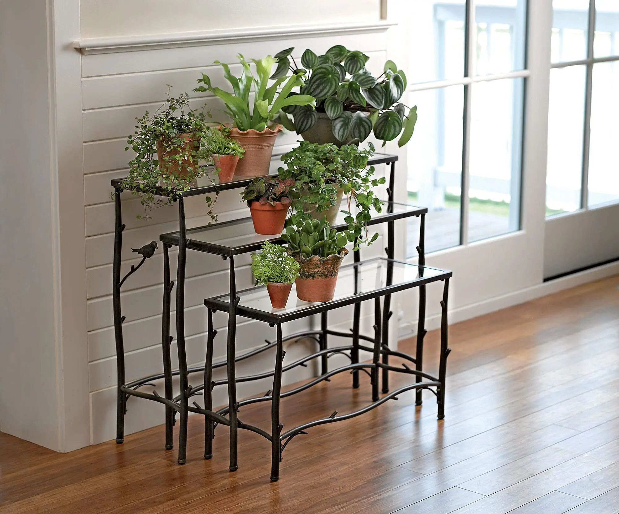 3 Tier Plant Stand | Decorative Metal & Tempered Glass Ladder Shelf | Best For Living Room, Patio & Balcony