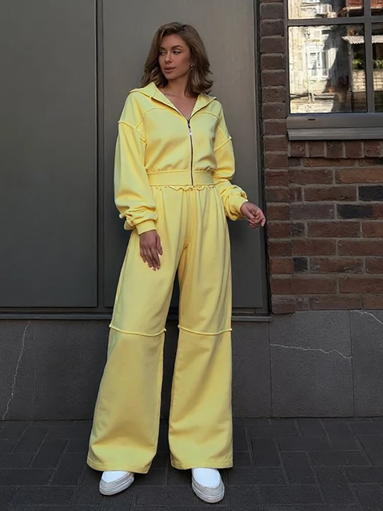 

Weird Puss Sporty Tracksuit Women 2 Piece Set Panelled Stripes Simple Hooded Zip Jacket+Wide Pants Matching Casual Street Outfit