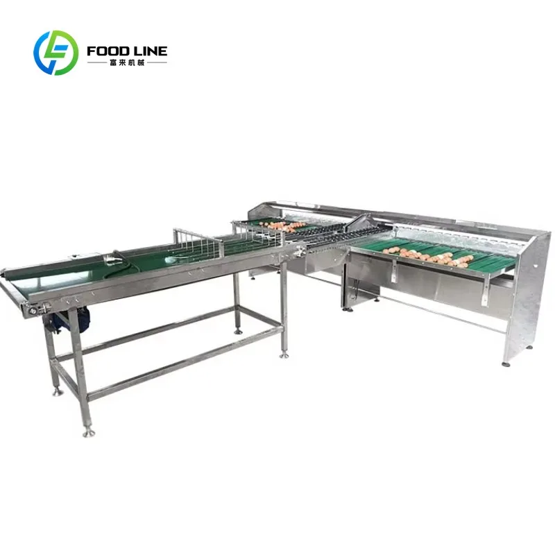 Customized Automatic Egg Weight Grading Machine Multi-Level Belt Conveyor Sorter For Chicken Farm CE Certified