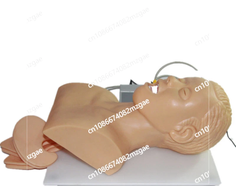 

Учебная модель электронной эндотрахеальной интубации человека с устройством сигнализации давления зубов