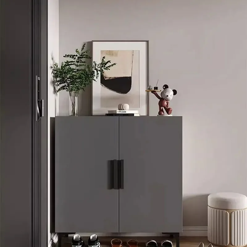/Creative Luxury Shoe Cabinets Simple Interior Shelves Living Room Storage Shoe Cabinets Fashion Aesthetic Muebles Home Design