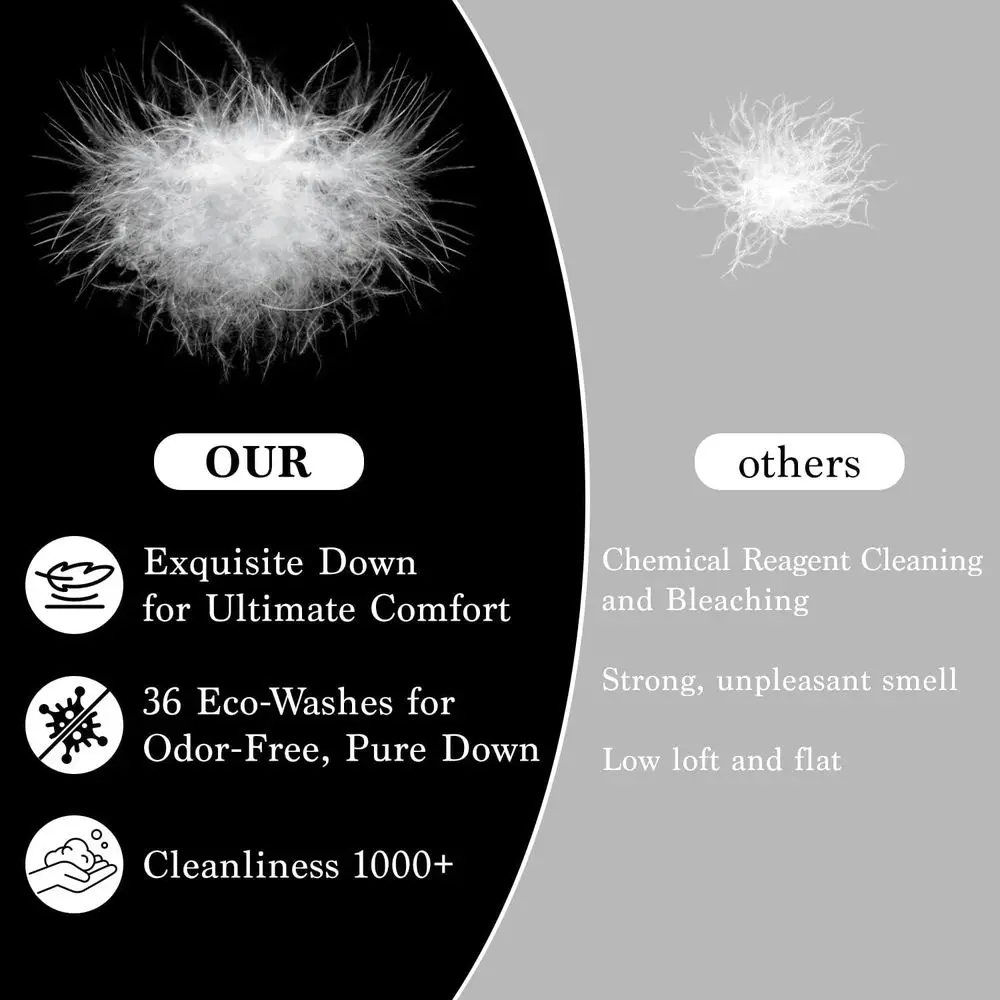 Cuscini di lusso in piuma d'oca bianca 750 Fill Power, 100% cotone, set di dimensioni standard di 2 (20 x 26) per chiodini laterali e posteriori