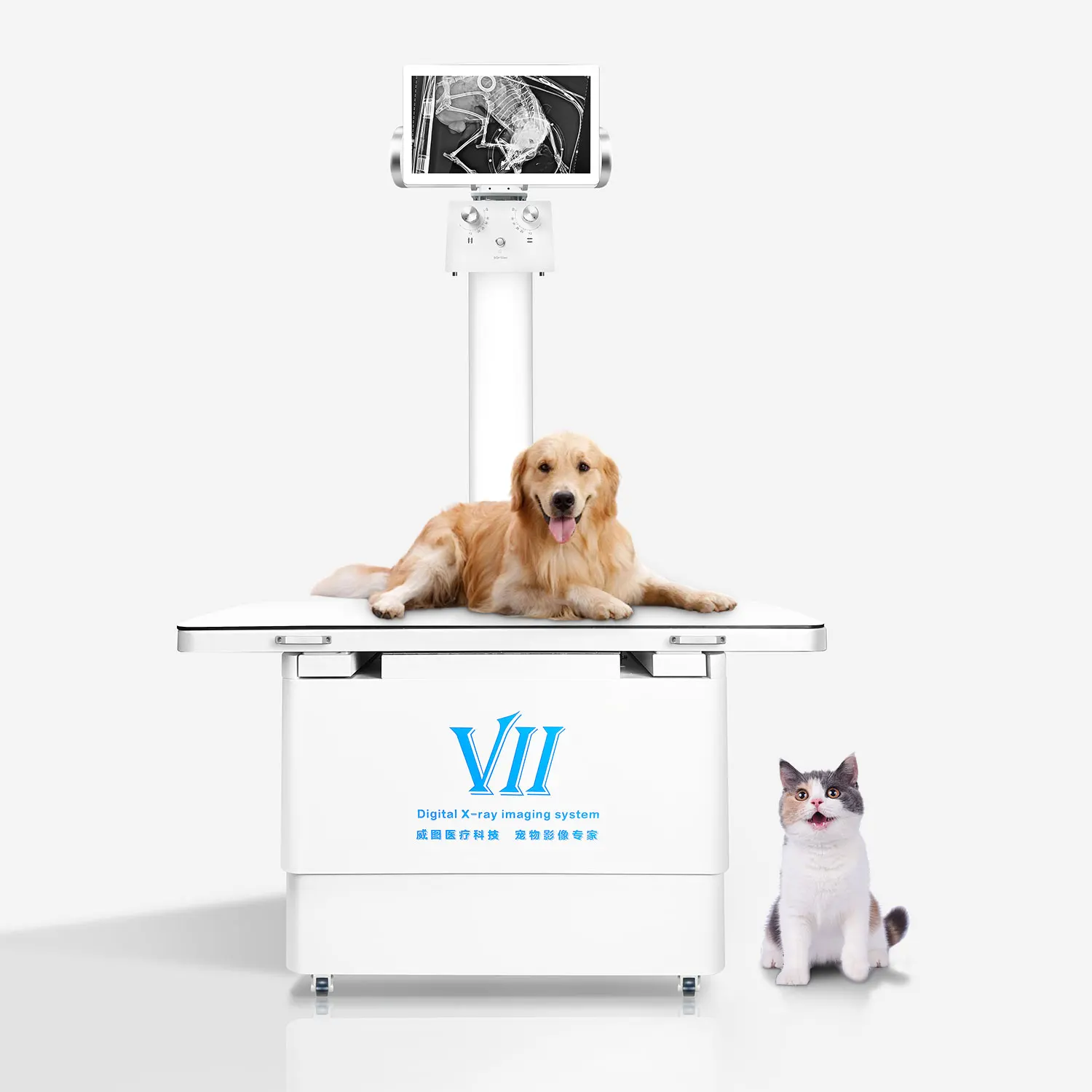 Veterinary Dynamic X Ray Machine DR Digital Radiography System For Hospital Diagnosis
