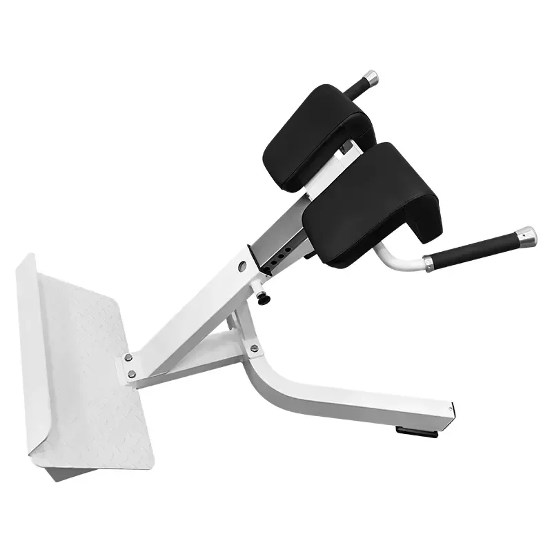 Adjustable Commercial Abdominal Trainer Steel Roman Chair for Back Extension Fitness Equipment Gym Muscle Workout Machine