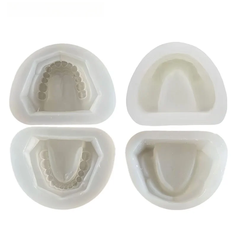 1/2Pcs Dental Silicone Denture Base Model—Suitable for Standard Impression Trays for Edentulous Patients—Dental Materials