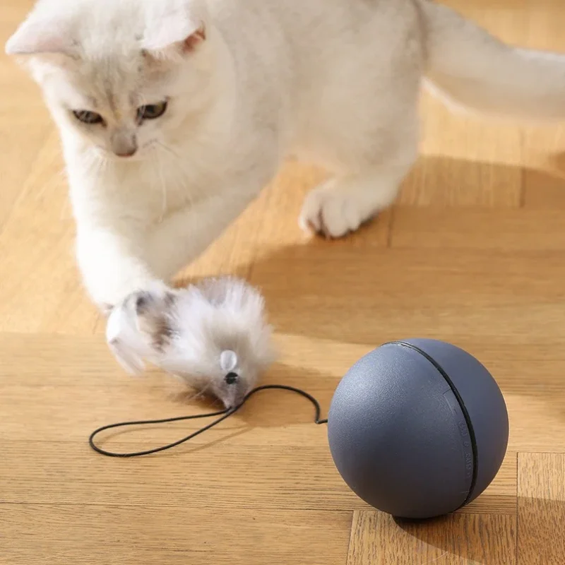 

Cat Ball Toys Interactive Automatic Rolling Ball Toy for Cats Kittens Teasing Cat Balls with Mouse Pet Supplies
