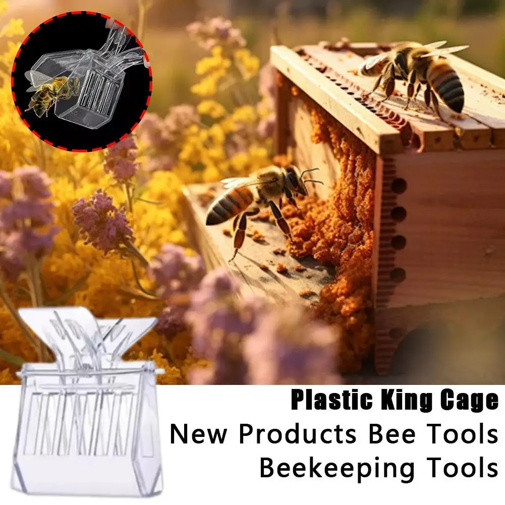 1/5/10Pcs Durable Plastic Clear Beekeeping Clip Queen Bee Cage No-hurt Beekeeper Equip Insect Catcher Garden Tool Beehive Room