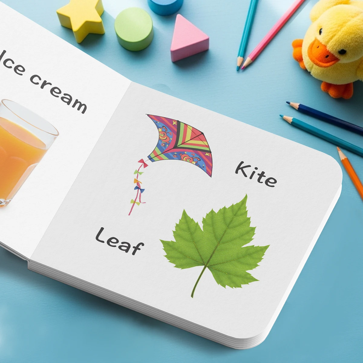 Toddler Early Learning Word Activity Book, 10 Themes Including Animals, Numbers, Fruits & Toys, Flashcard Style Vocabulary Book