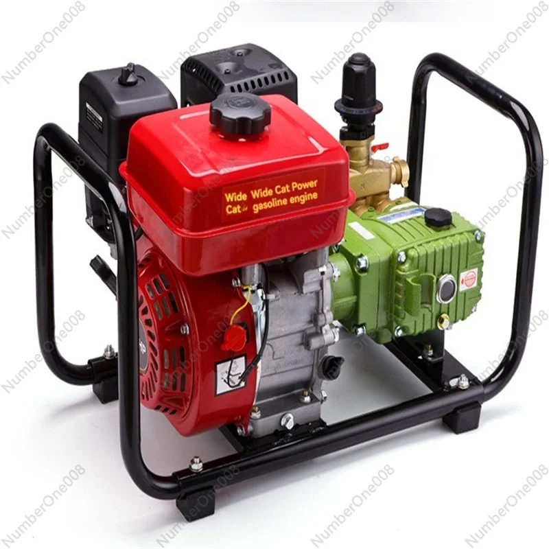 Direct Connected Gasoline High-Pressure Spray Agricultural Three Cylinder Plunger Pump Spray Four Stroke Spray