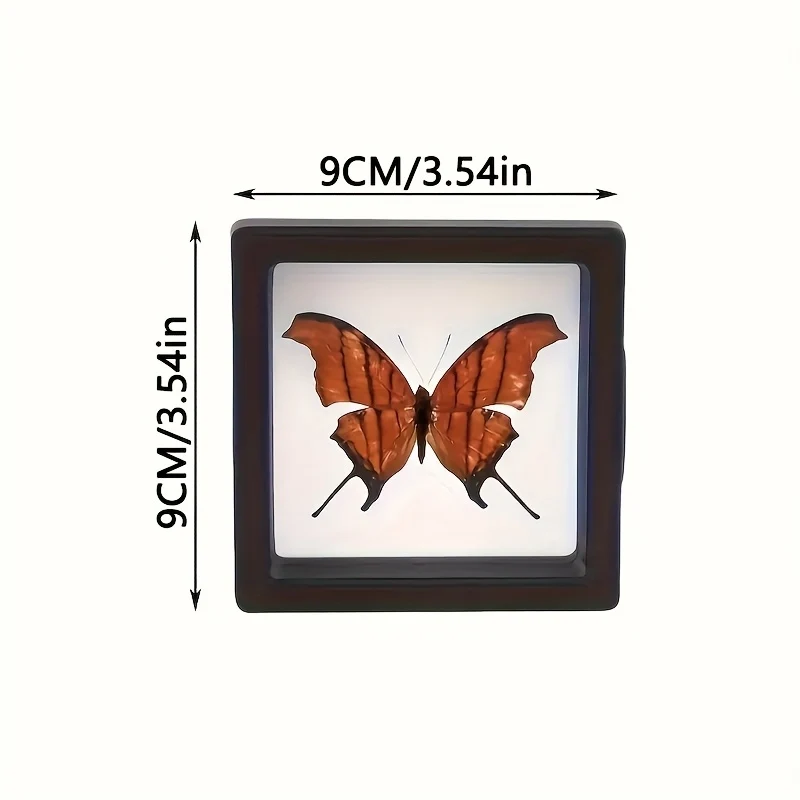 قطعتان من صناديق عرض المجوهرات والساعات والمقتنيات، لا حاجة للطاقة، مثالية لديكور المنزل، صندوق عرض لصنع المجوهرات #3