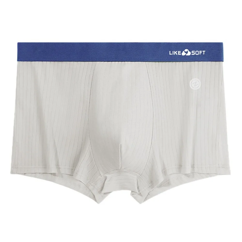 5Pcs Simple Traceless Men's Flat Panties Ice Silk Mid Waist Seamless Briefs Underpants Lingerie Underwear for Man Travel