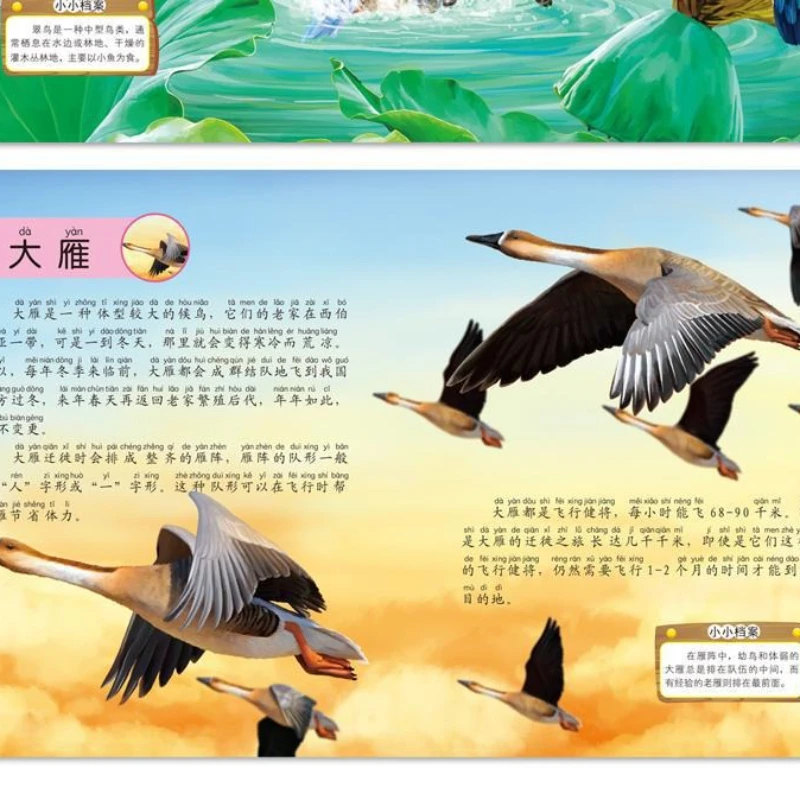 القراءة اللامنهجية: سلسلة تعميم علوم الأطفال موسوعة الحيوانات 10 كتب للأطفال