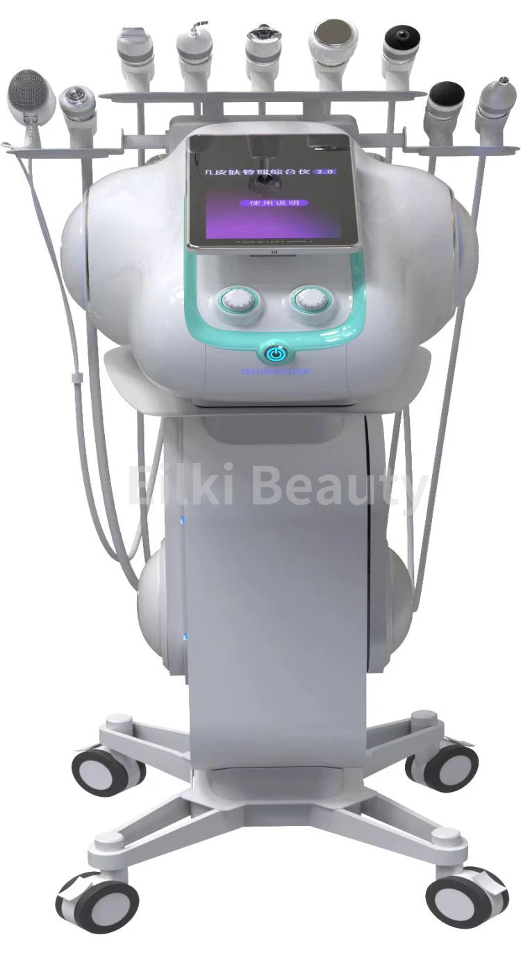 Multifunction 9 In 1 Oxygen Hydra Dermabrasion Skin Care Machine Bubble Oxygen Concentrator Face Lift Spa Professional Aesthetic