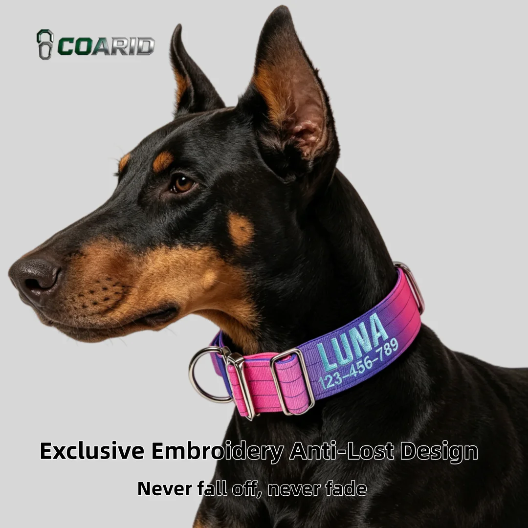 

Custom Gradient DogCollarwithName Engraved12 ColorsPersonalized Knitted Pet Collar Heavy Duty Metal Buckle for Medium Large Dogs