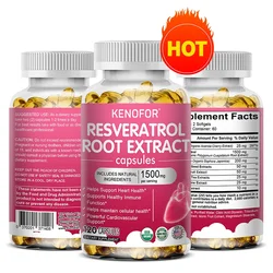 RESVERATROL ROOT , 1500 Mg of Powerful Antioxidants and Trans-resveratrol for Anti-aging, Cardiovascular, Maximum Benefits