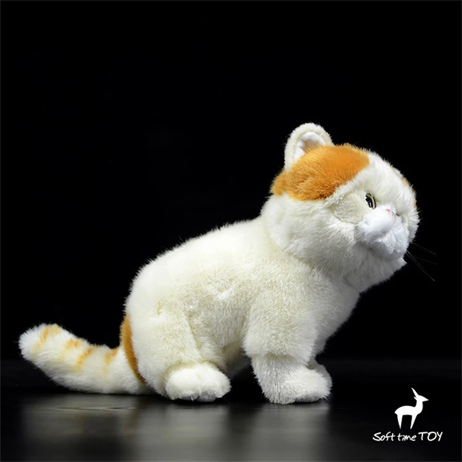Shorthair Cat Plush Toy Realistic Persian Cat Stuffed Animal Lifelike Chinchilla Persian Plushie Royal Cat Soft Doll Collectors