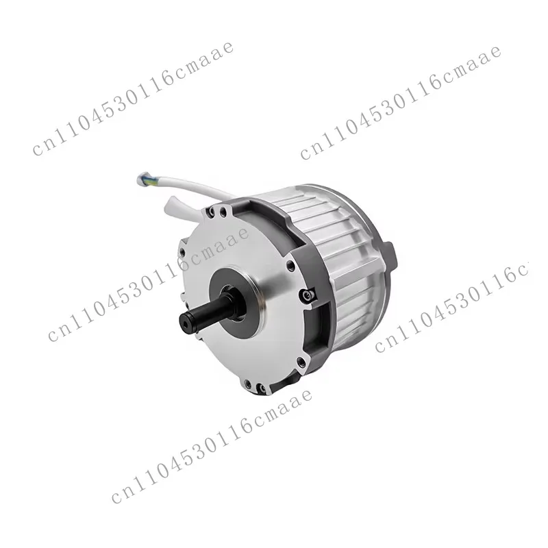 24-36VDC 1200W 4500-8000rpm Brushless DC Motor with Permanent Magnet for Electric Bicycle Home Appliance & Lawn Mower