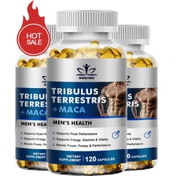 Natural plant extract Terrestris ginseng maca - a natural level supplement for men and women