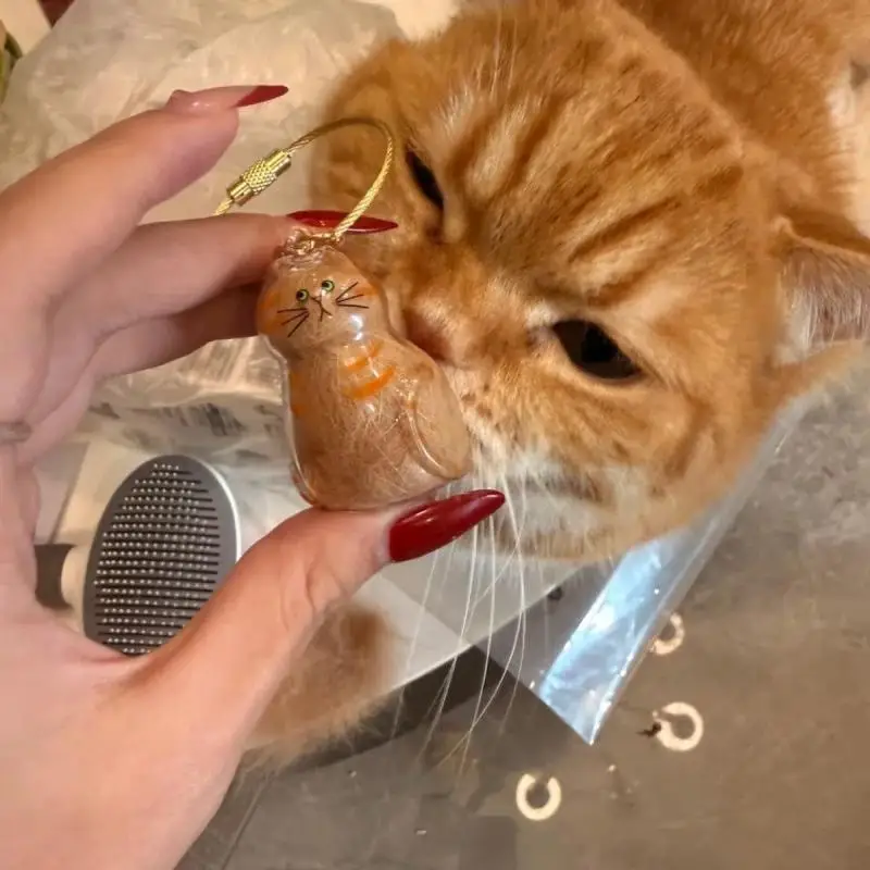 Katzen-Schlüsselanhänger Anhänger für Rucksack Katzenhaar-Aufbewahrungsbox Hängende Katzentasche Haustierpflege-Souvenirs – Detail 9