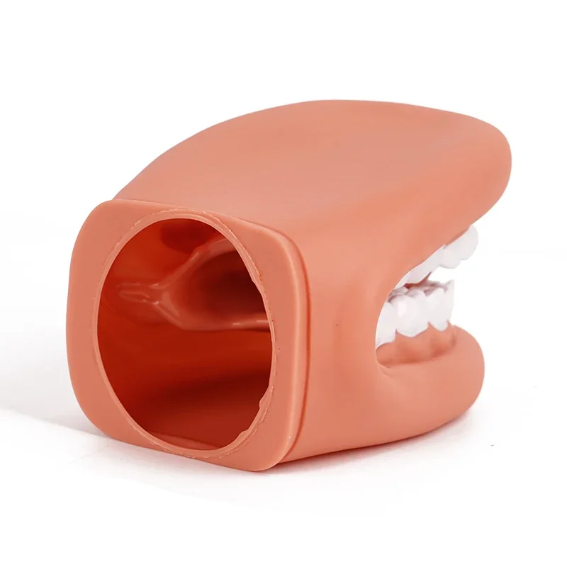 

2Pcs Dental Model Mighty Mouth Hand Puppet With Tongue Children Brushing Speech Therapy Oral Training Tool