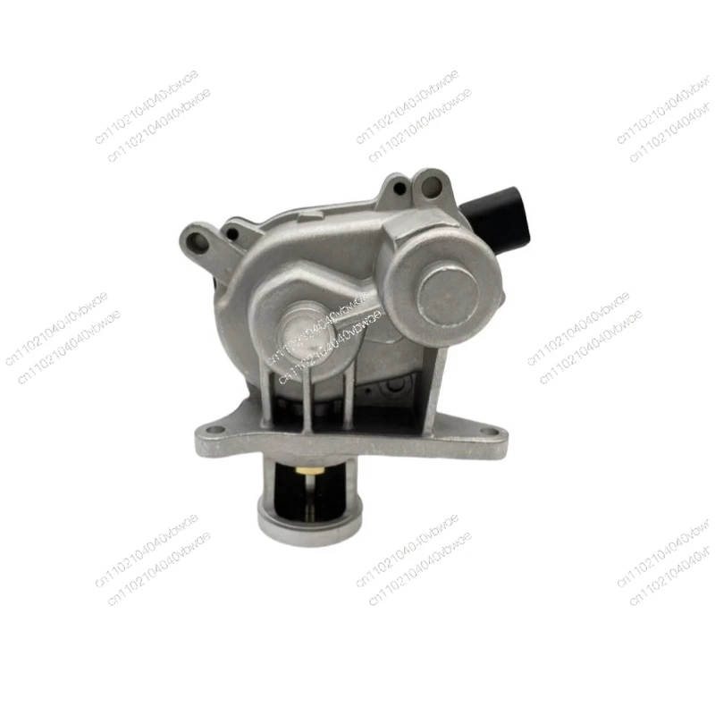 Adapted To Great Wa…