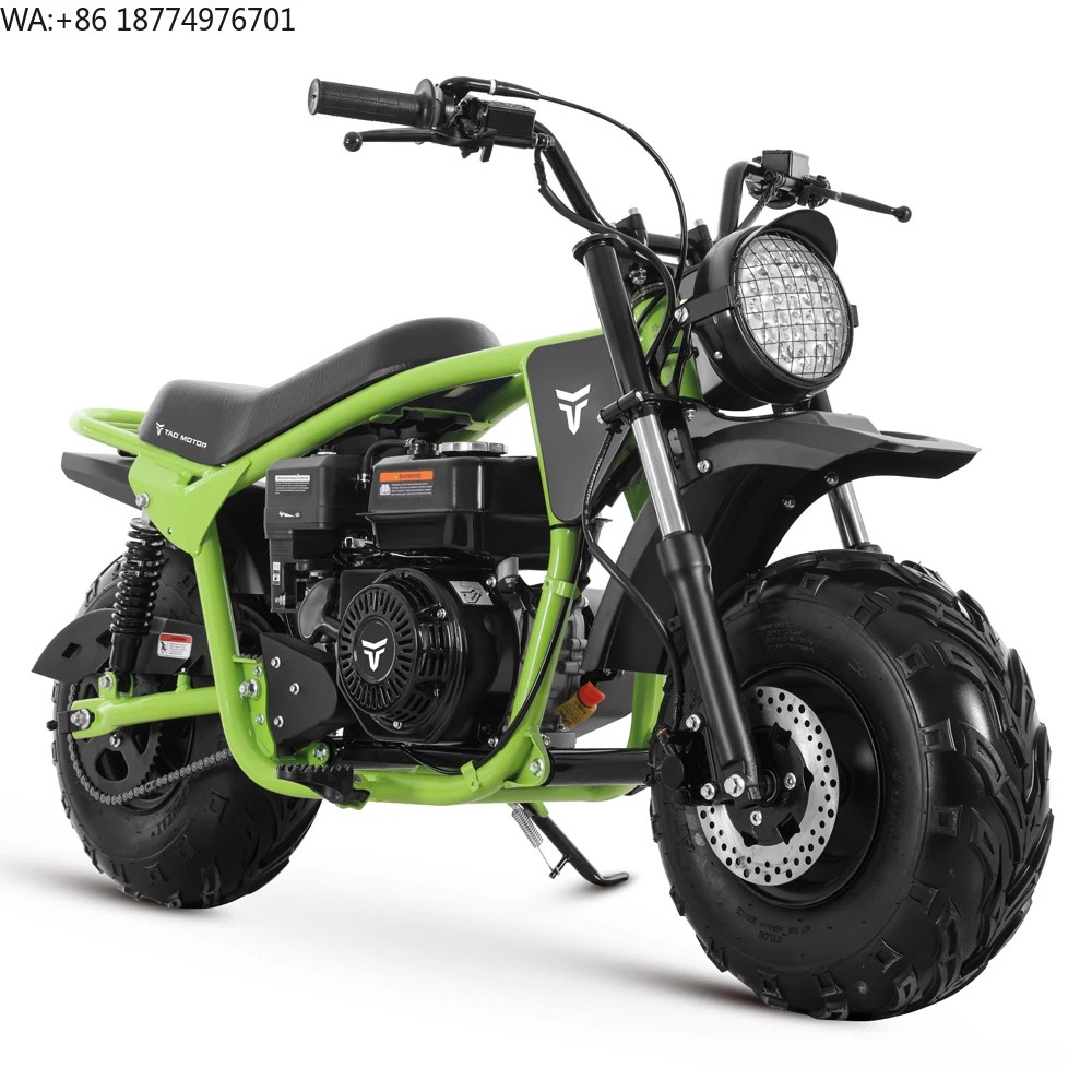 Tao Motor 2025 New Fat Tire Off-road motorcycles Disc Brake with Suspension 196cc Mini Bike